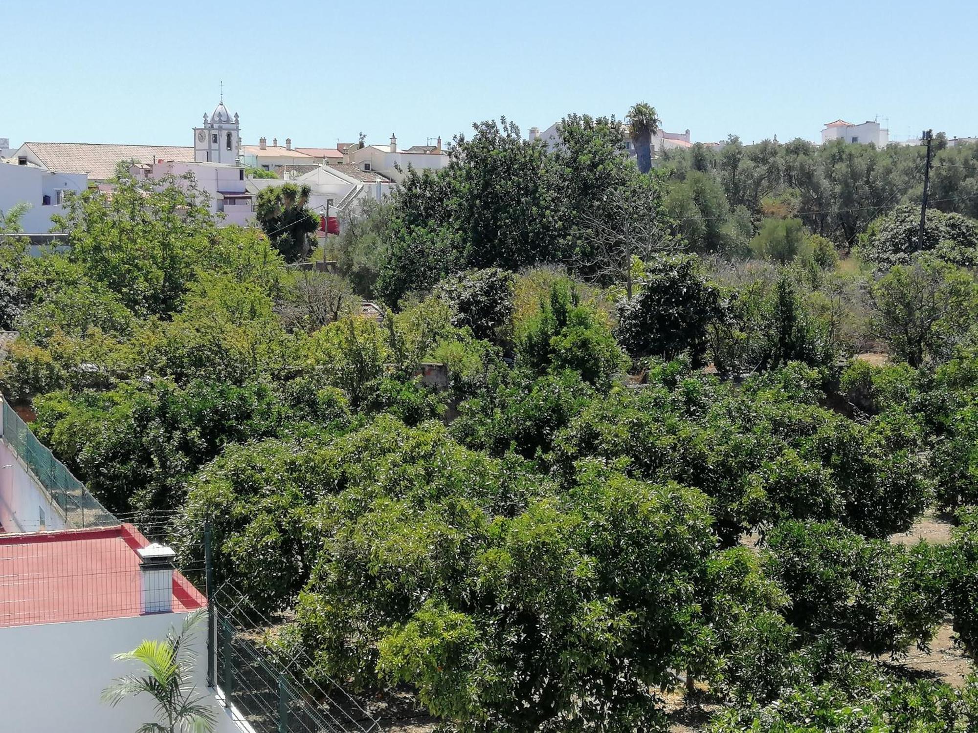 Villa Cerro E Mar Moncarapacho Zewnętrze zdjęcie